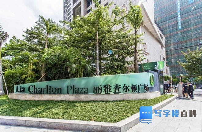 深圳丽雅查尔顿广场招租中心-第1张图片-深圳楼盘简介 深圳丽雅查尔顿广场招租中心-第1张图片-深圳楼盘简介