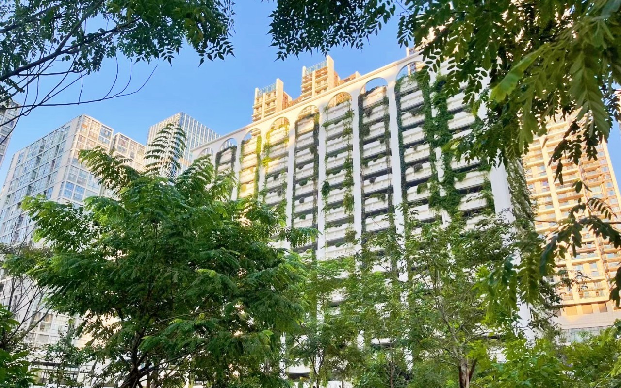 泰华梧桐聚落花园(梧桐村) - 深圳宝安区写字楼出租 · 实景图 1