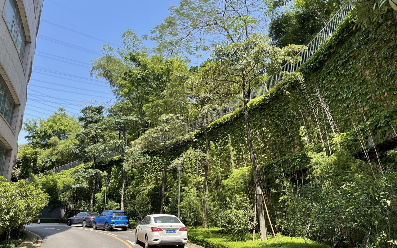 沐兰艺术大厦 - 深圳龙华区写字楼出租 · 资料图 10 沐兰艺术大厦 楼盘图片
